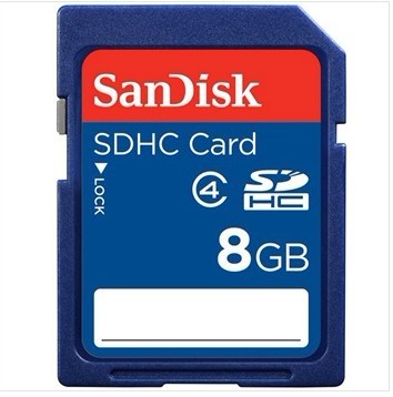 SanDisk（闪迪）8G SDHC 存储卡（Class4）